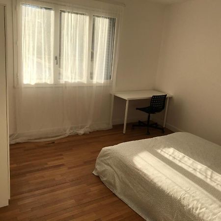 Grenoble Joli Appartement מראה חיצוני תמונה