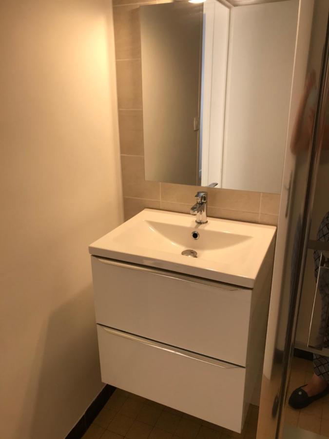 Grenoble Joli Appartement מראה חיצוני תמונה